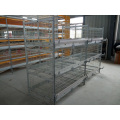 H Frame Broiler Cage